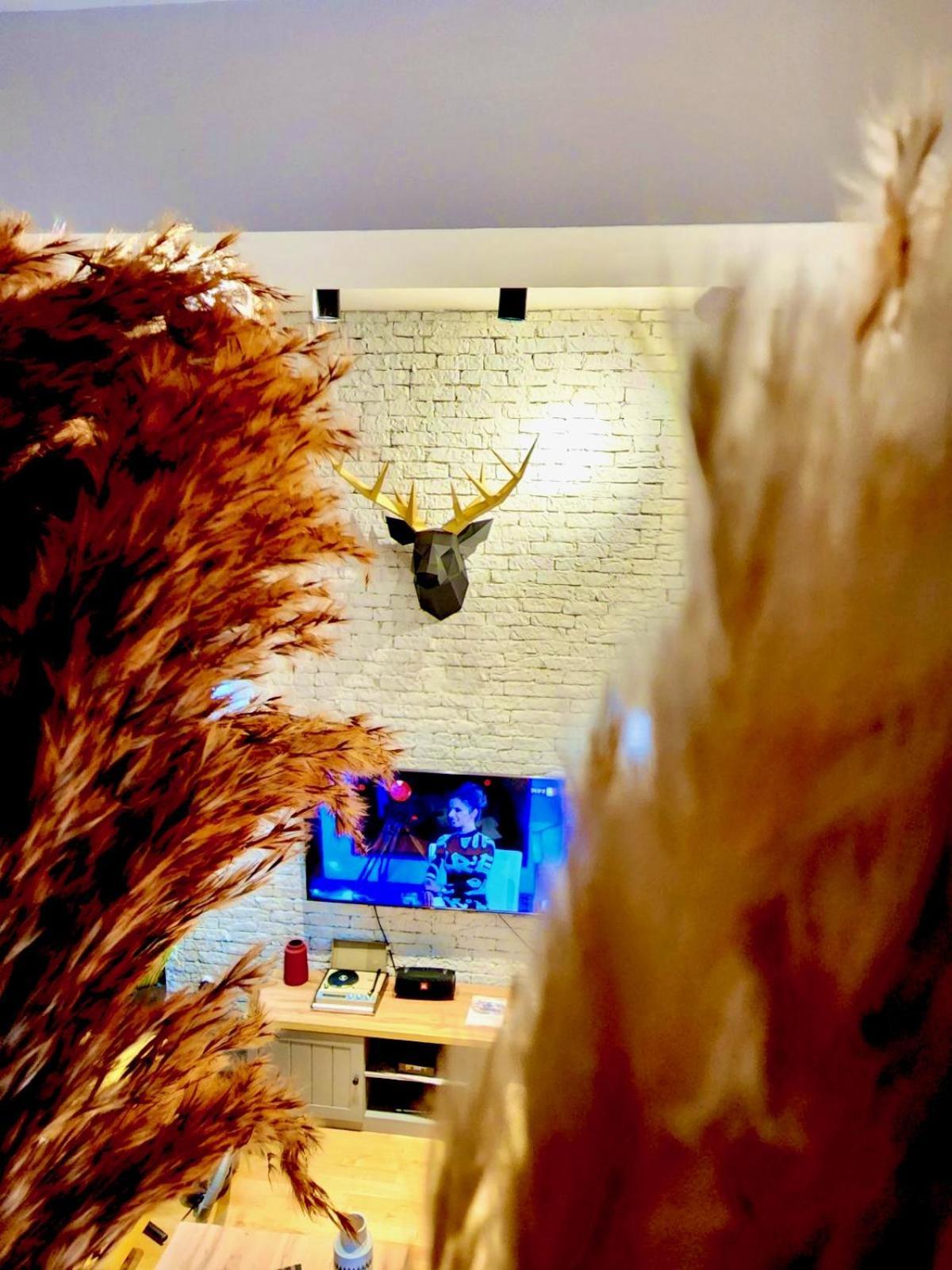 Lifestyle Gallery Apartment スコピエ エクステリア 写真