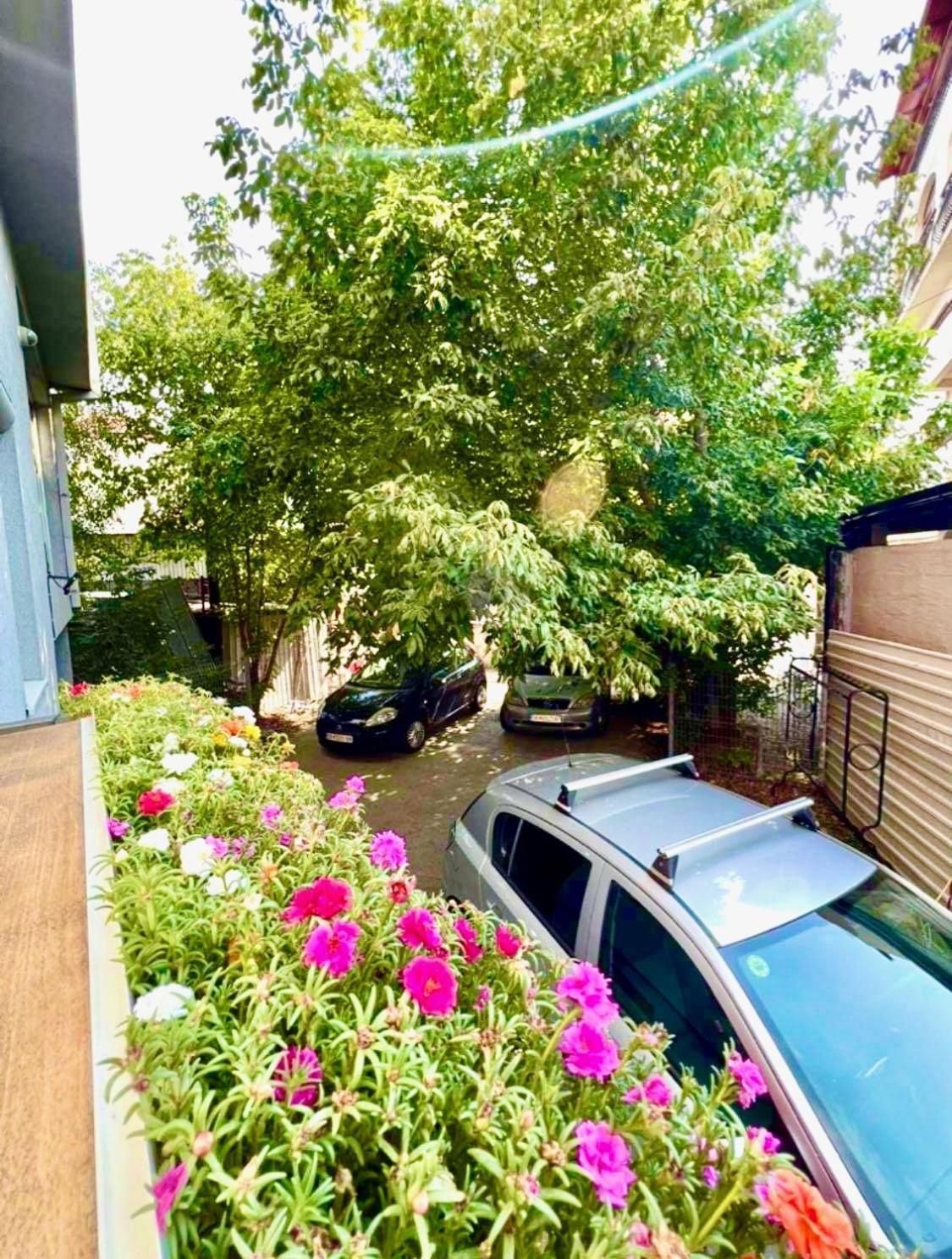Lifestyle Gallery Apartment スコピエ エクステリア 写真